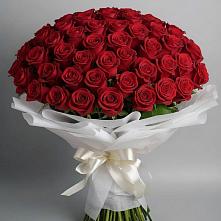 Букет 101 Красная роза Блэк Мэджик в Родниках Краснодарского края