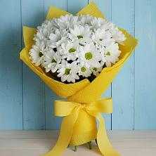 Букет цветов из:  Хризантемы в Родниках Краснодарского края