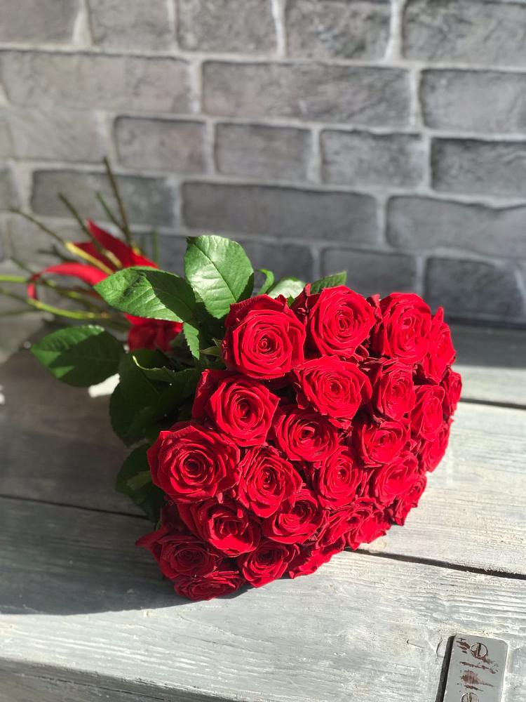 Букет Красные розы Фридом в Родниках Краснодарского края