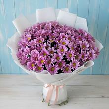 Букет цветов из:  Хризантемы в Родниках Краснодарского края