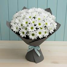 Букет цветов из:  Хризантемы #REPLACE_PRED# Родниках Краснодарского края