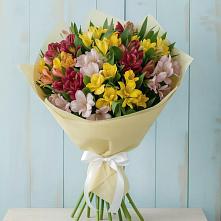 Букет цветов из:  Альстромерии #REPLACE_PRED# Родниках Краснодарского края