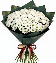 Букет цветов из:  Хризантемы в Родниках Краснодарского края