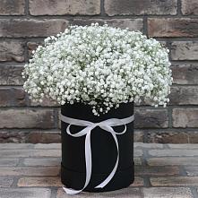 Цветочная композиция из Гипсофила в шляпной коробке #REPLACE_PRED# Родниках Краснодарского края
